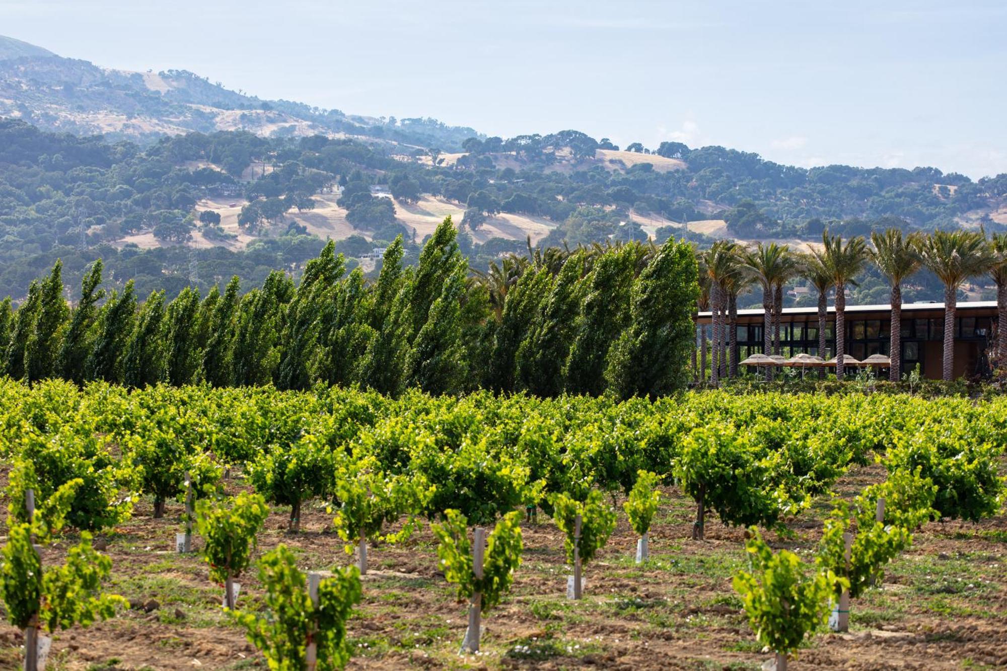 Homewood Suites By Hilton Fairfield-Napa Valley Area Cordelia Exterior photo